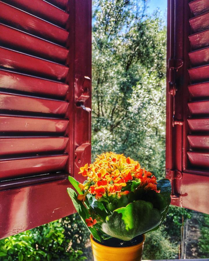 Camelia Studios Yénion Dış mekan fotoğraf